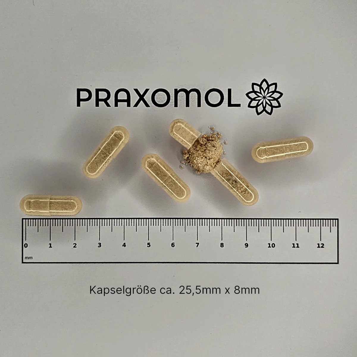 NährstoffBasis Kapseln (Basisversorgung) – Bild 10